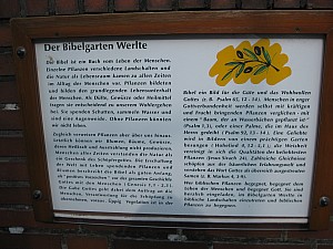 IMG_4811.jpg
