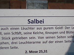 IMG_4814.jpg