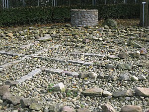 IMG_4822.jpg