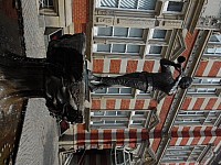 Bild 066.jpg