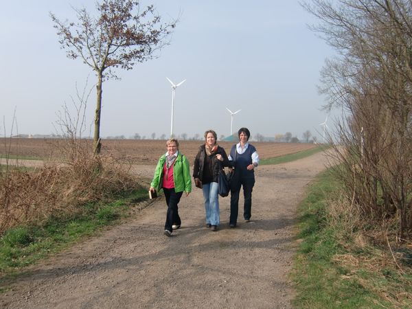 136.jpg