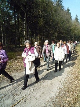 104.jpg