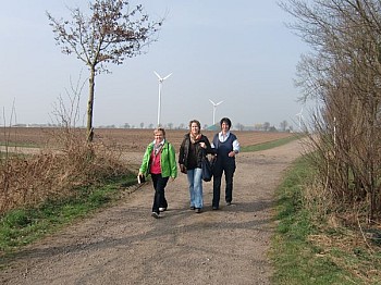 136.jpg