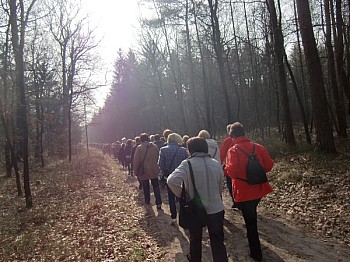 142.jpg