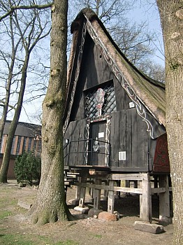 46.jpg